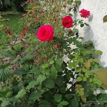 : Les Flambeaux Feriehus Mareuil-en-Brie